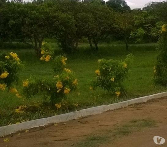 Terreno em Cabo Frio - Foto 6