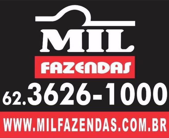 Fazendas Vale do Araguaia - Foto 7