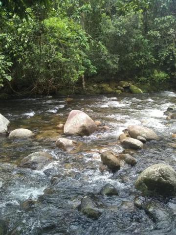 Terreno à venda em Parque veneza, Cachoeiras de macacu cod:TE0116 - Foto 8