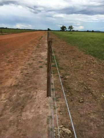 4342 Hect Em Barra Do Garça podendo virar soja.(Fazenda modelo difeênciada) - Foto 11