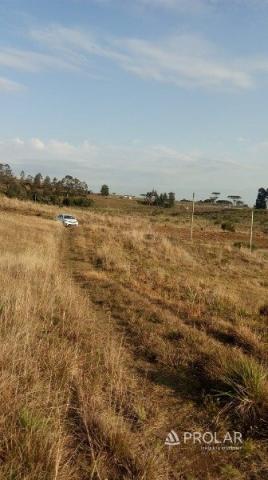 Chácara à venda em Apanhador, Caxias do sul cod:9748 - Foto 4