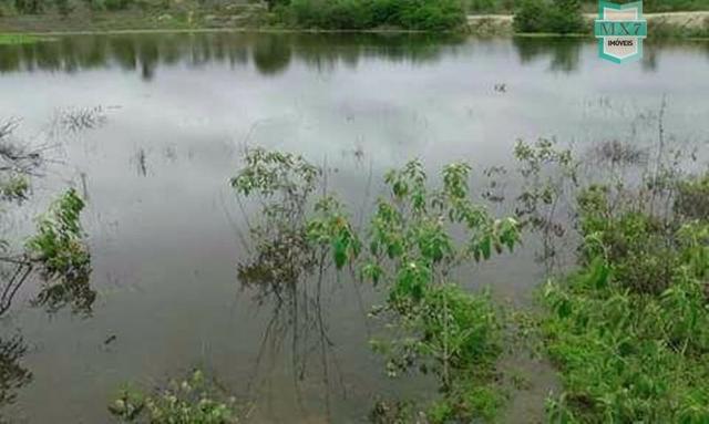 Ótima fazenda no Distrito de Serrolândia - Foto 6