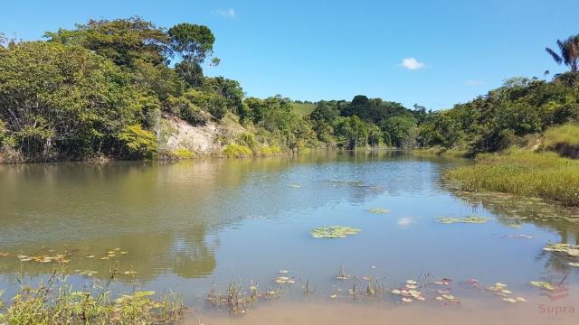 Maravilhosa Fazenda em Barrolândia, Belmonte - BA com 809 Hectares... - Foto 12