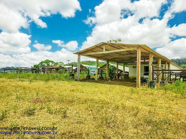 Fazenda mista de cacau e gado. Área de 203 Hectares - Foto 6