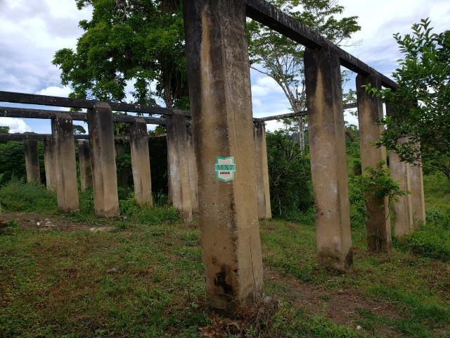 Ubaitaba. Fazenda produtiva de 139 Hectares a beira do asfalto. - Foto 2