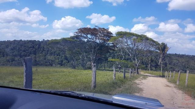 Maravilhosa Fazenda em Barrolândia, Belmonte - BA com 809 Hectares... - Foto 5