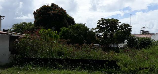 Lote em Maracaípe- Excelente metragem e localização!! Preço único!!