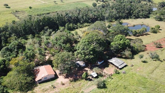 Fazenda 16.5 Alqueires ( 80 ha) Aragoiânia-GO