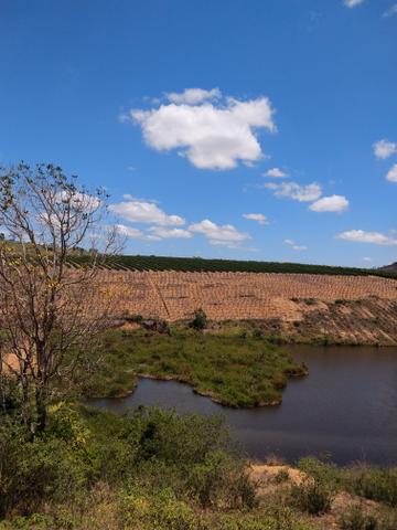 Propriedade rural Nova Venécia - Foto 2