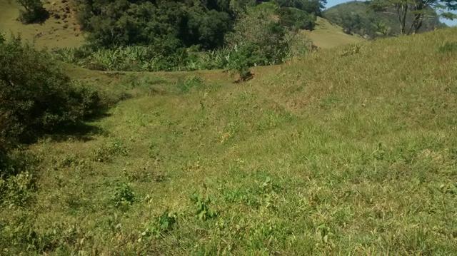 Sitio viana 2 hequitares - Foto 5