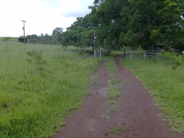 Fazenda escriturada formada ao lado de Brasília troca 61 9 * - Foto 3