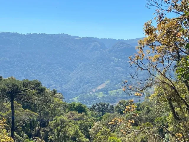 Fazenda em Urubici