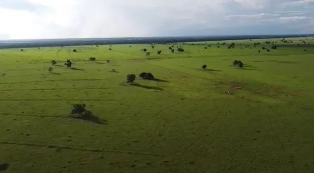Fazenda de 944 alqueires em Britania-GO - Foto 4