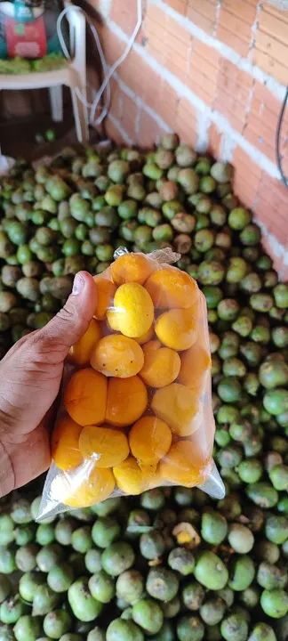 Vende-se pequi 15 reais 