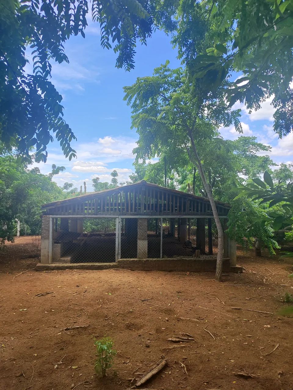 fazenda com 37 hectares em comum município de Monte Alegre estruturada - Foto 4