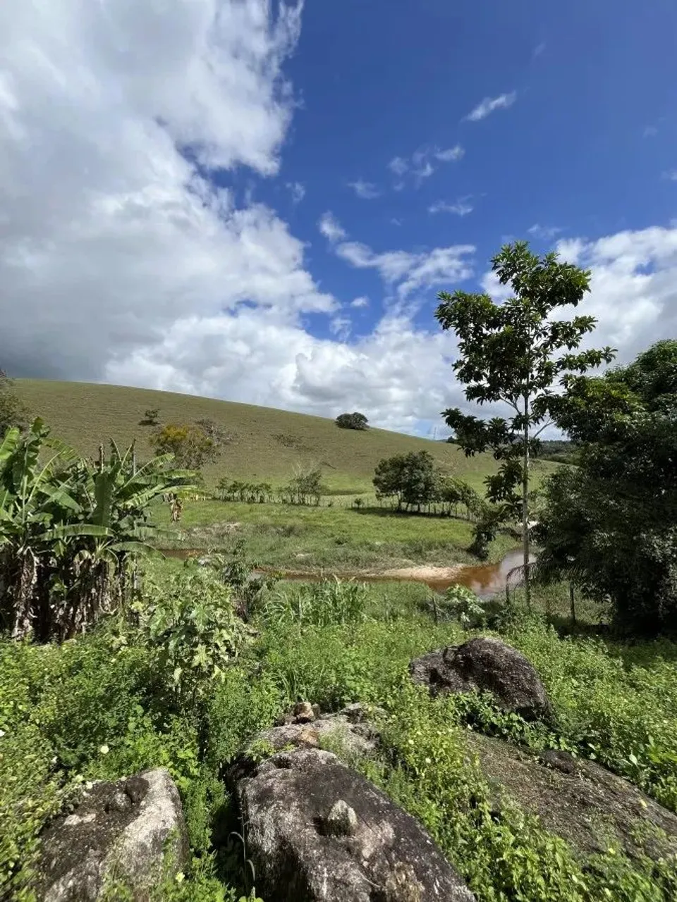 Fazenda para Venda em Joaquim Gomes, Centro