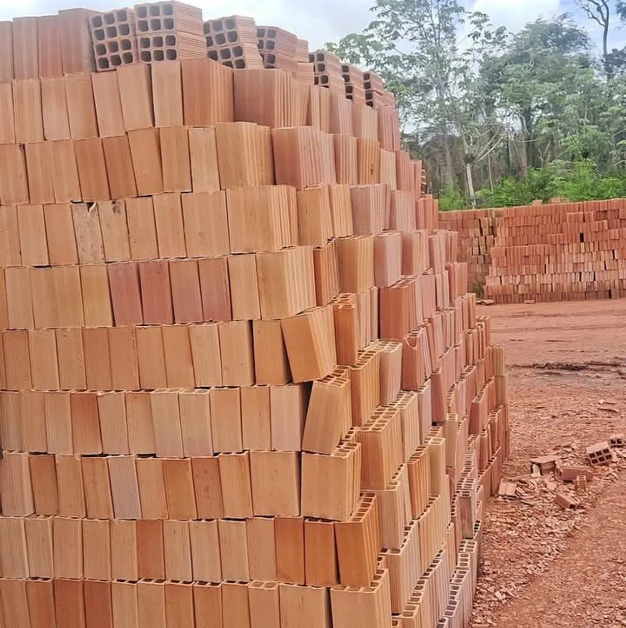 Tijolos para construção