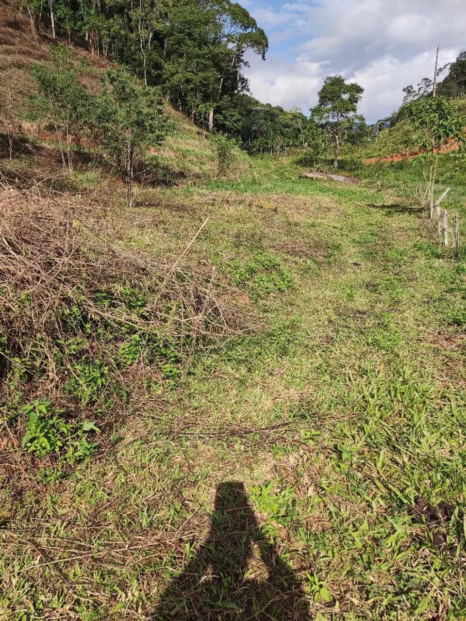 Foto - Marechal Floriano - 