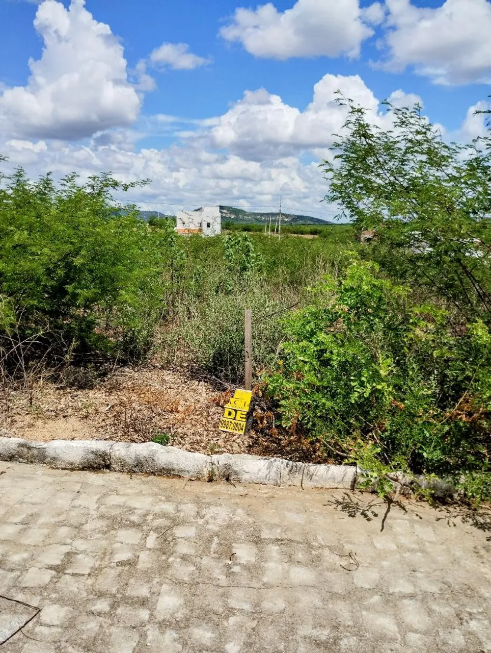 Terreno