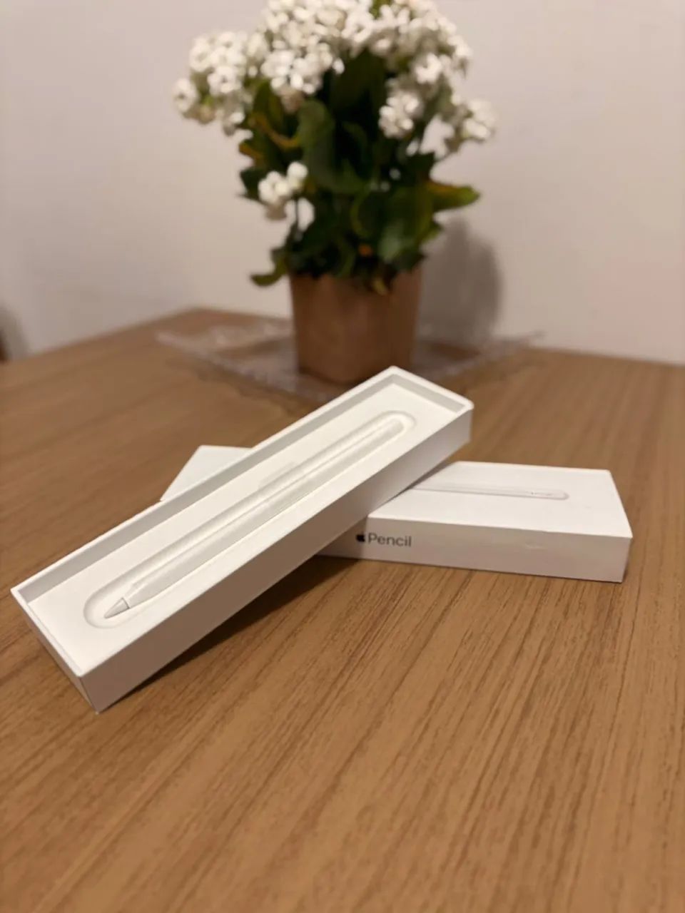 Ipad mini 6 - 64gb (Rose gold) Apple Pencil geração 2 R$3.600,00