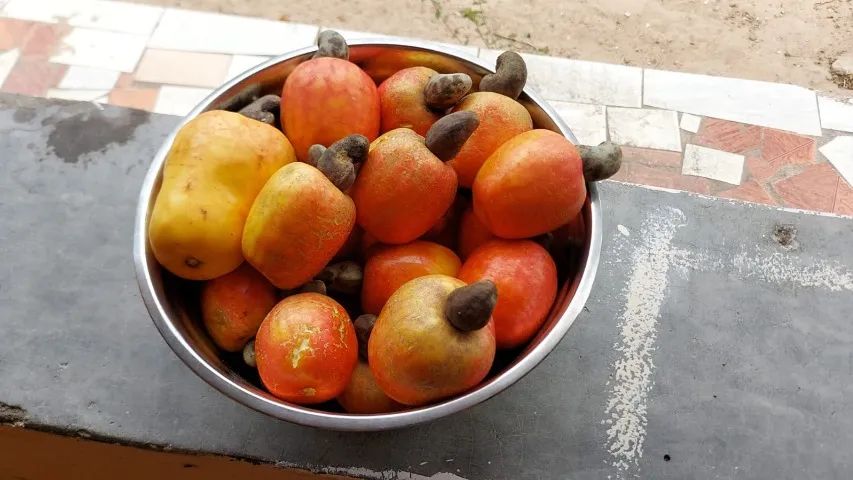 Fazenda Vitoria - 76 hectares em Chorozinho para vender - Foto 4