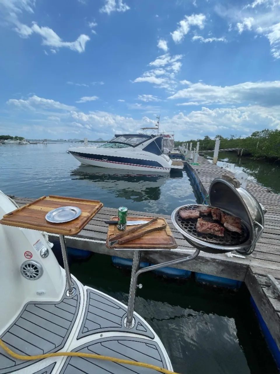 Lancha Bayliner 310 Diesel - Foto 4