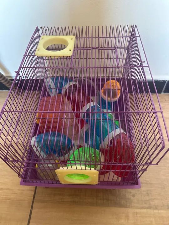 Viveiro para hamister   - Foto 2