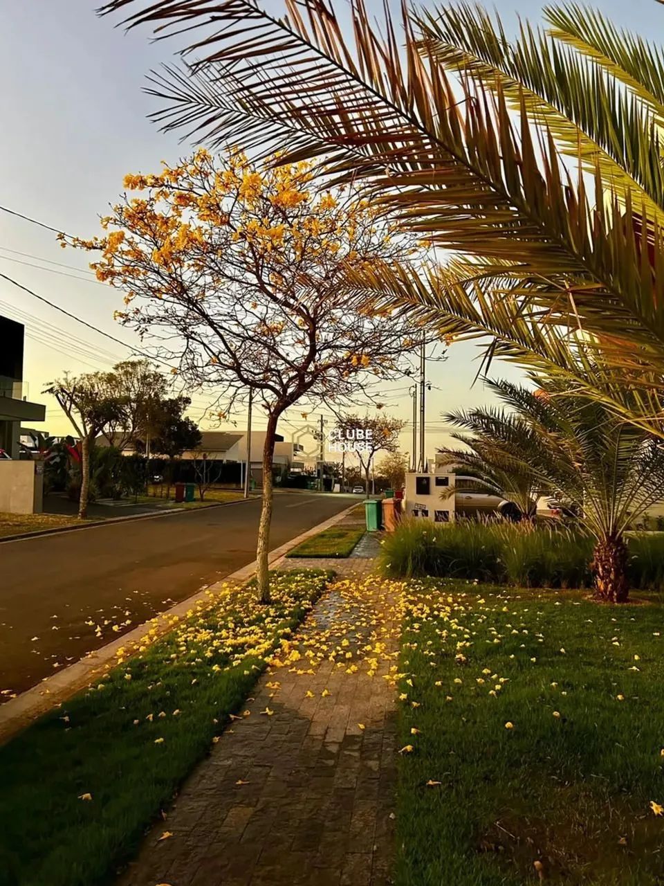 Lote na Rua mais charmosa e arborizada do Terras Alphaville, proximo a portária