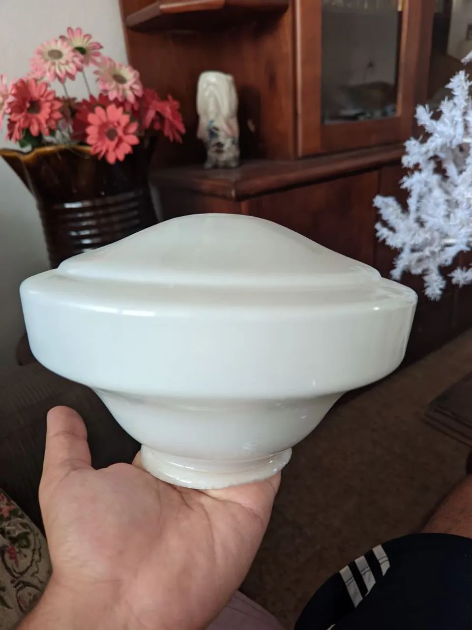 Cúpula de Vidro 23 Cm - Foto 5