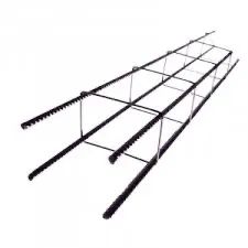 Esqueleto de ferro 8