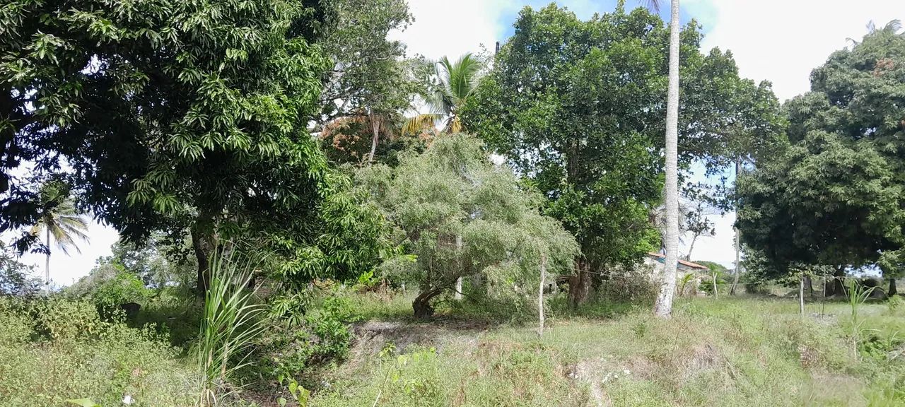 Sitio 3 taferas itaporanga  - Foto 7