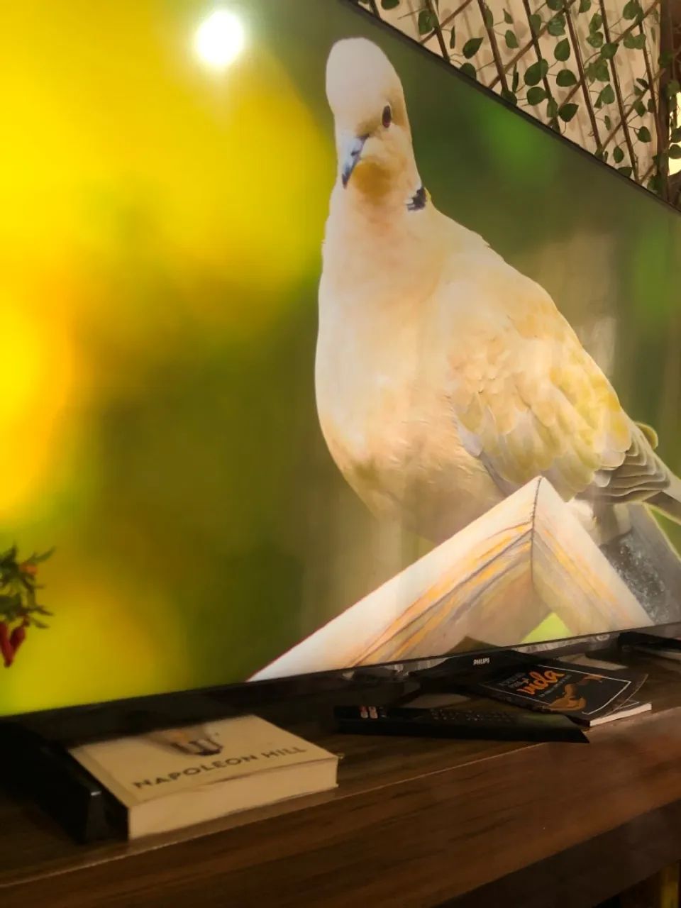 TV PHILIPS 50 POLEGADAS ULTRA HD 4K NOVA - Foto 4