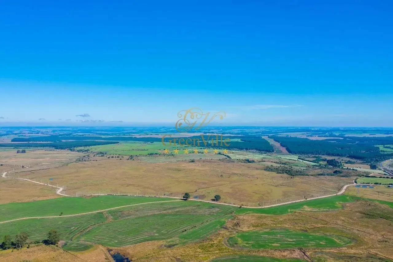 Palmeira, Fazenda à 46km Park Barigui, 100 alqueires, 242 hectares, ou 2.420.000m², dupla  - Foto 3