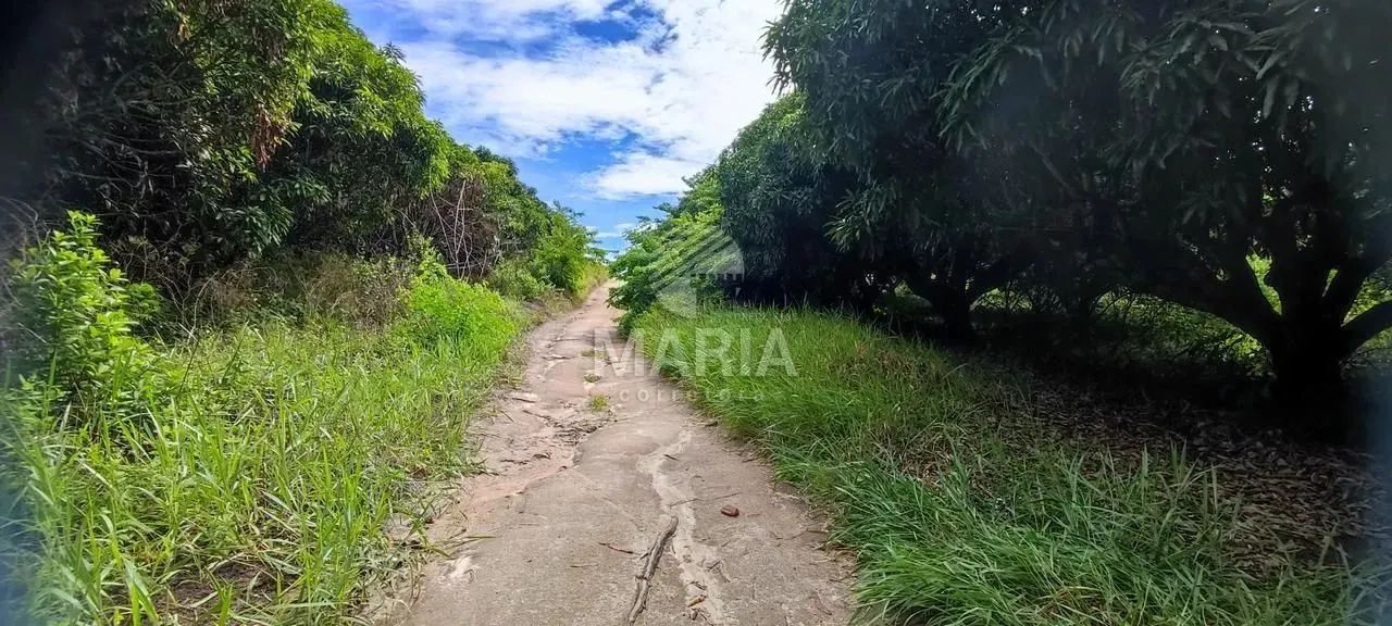 Área de 14 Hectares à venda em Chã Grande/PE! - Foto 5