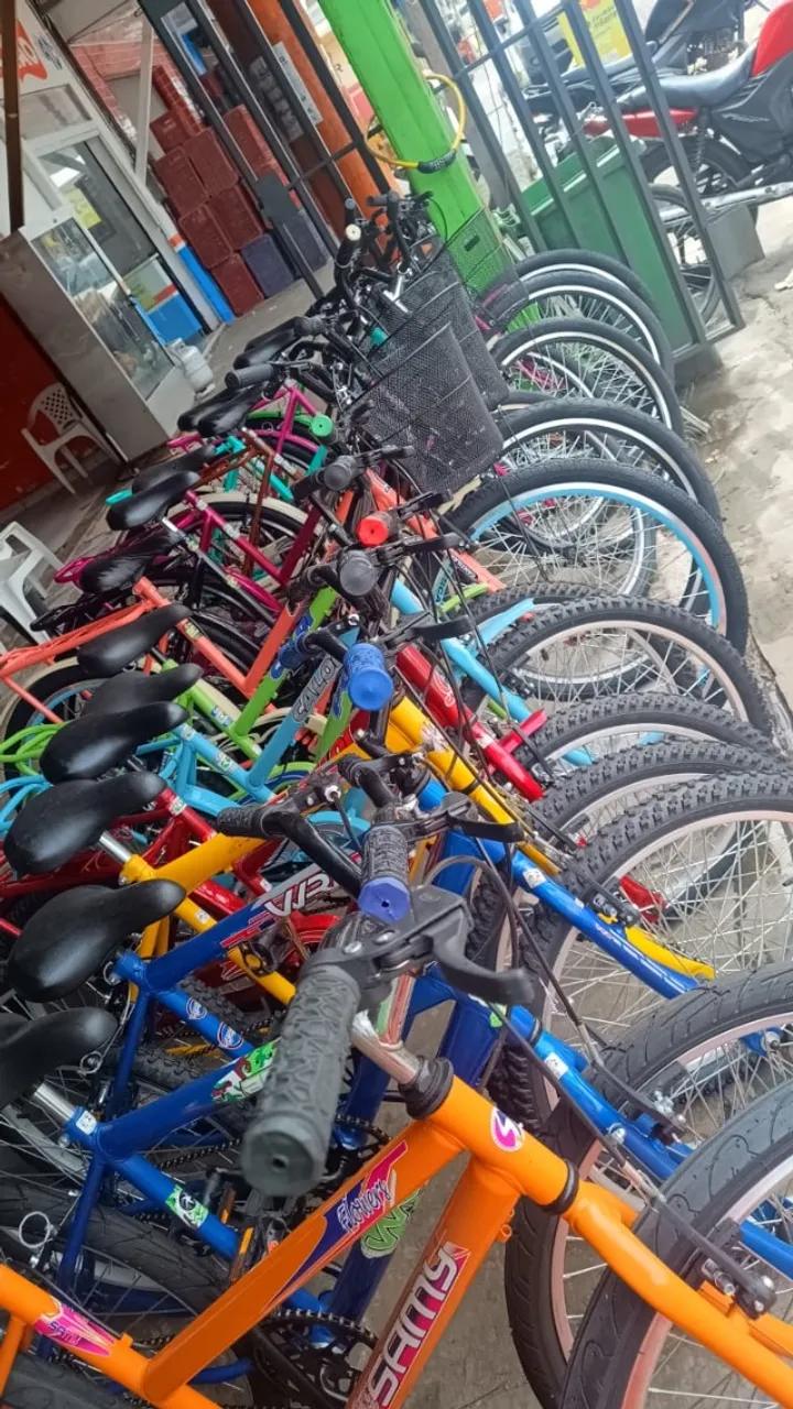 Bicicleta Aro 29