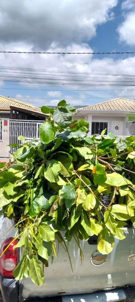 Entulhos governador Celso Ramos  - Foto 4