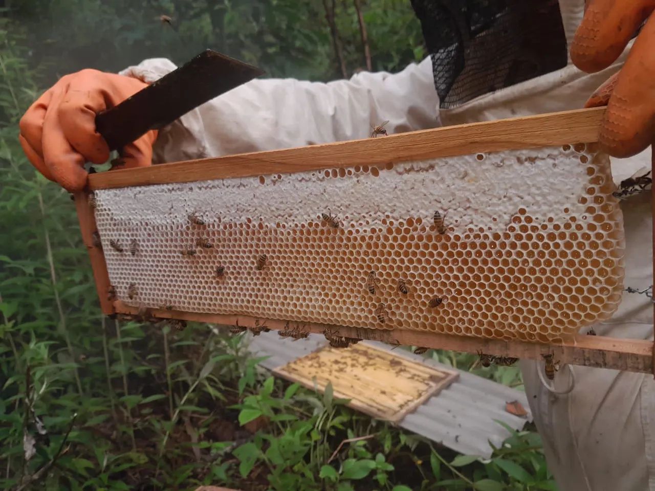 Delícias Di Minas - Foto 3