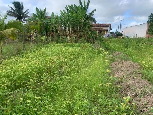TERRENO ESTR. VELHA RIO BONITO - Foto 2