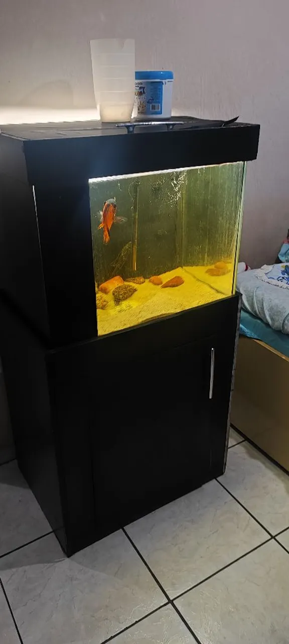 Aquário completo
