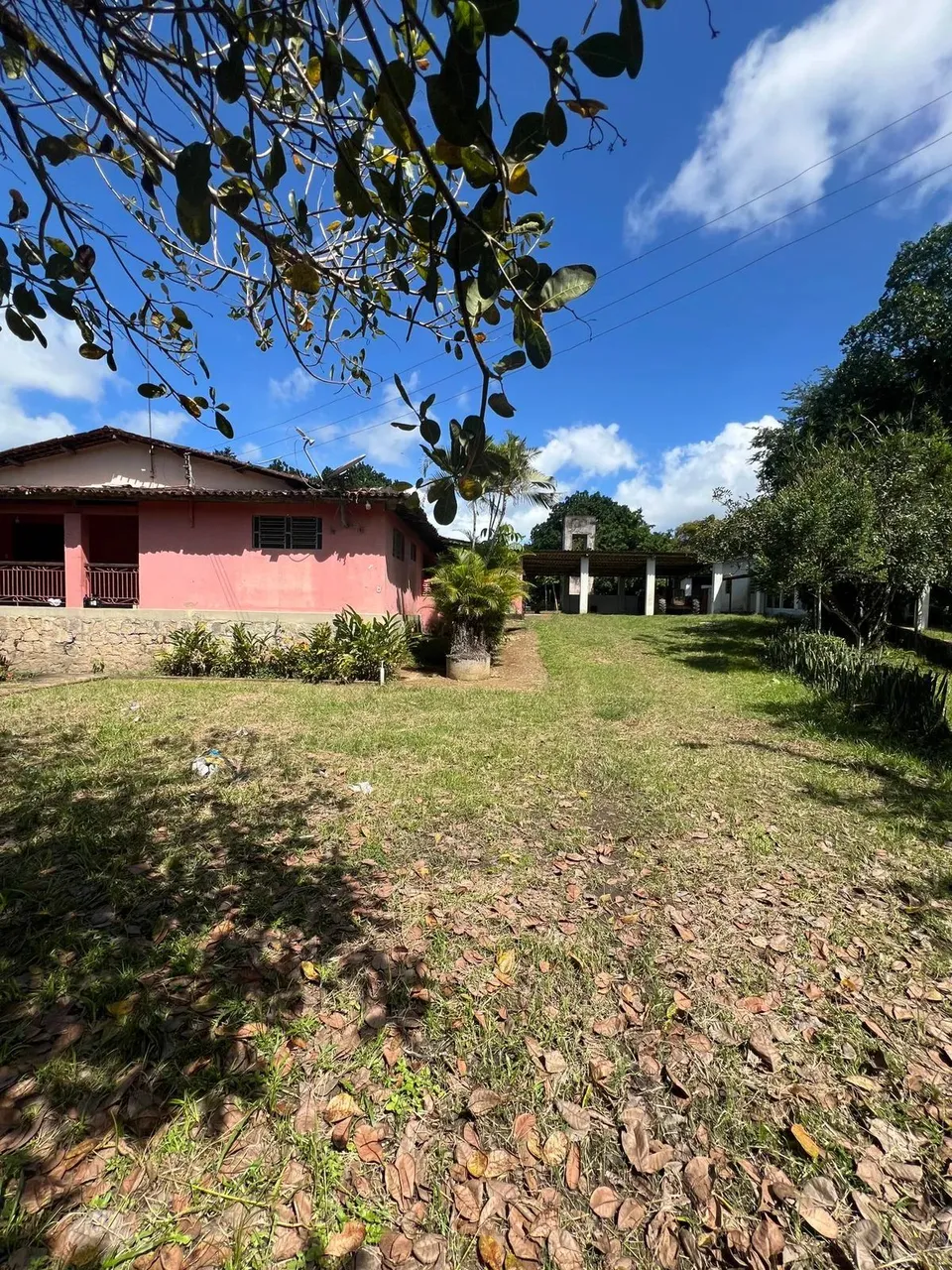 Imóvel para venda possui 400 metros quadrados com 6 quartos em Centro - Água Preta - PE