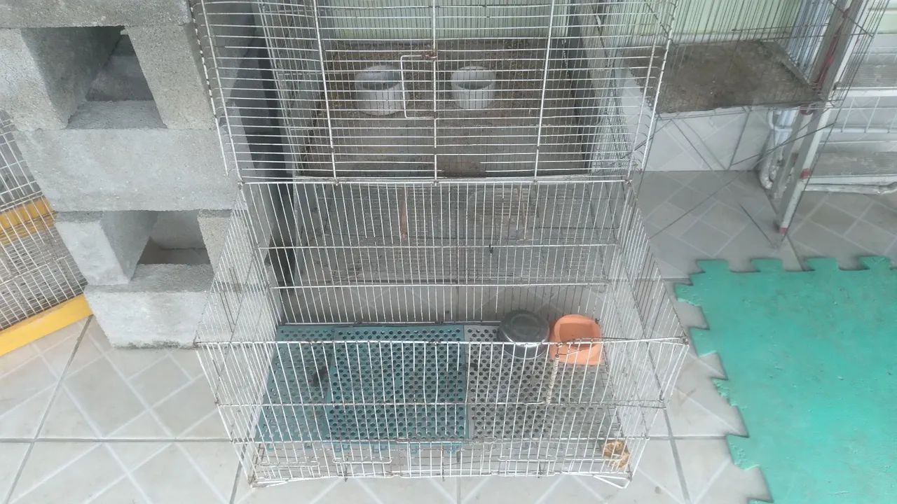 Gaiolas - Foto 3