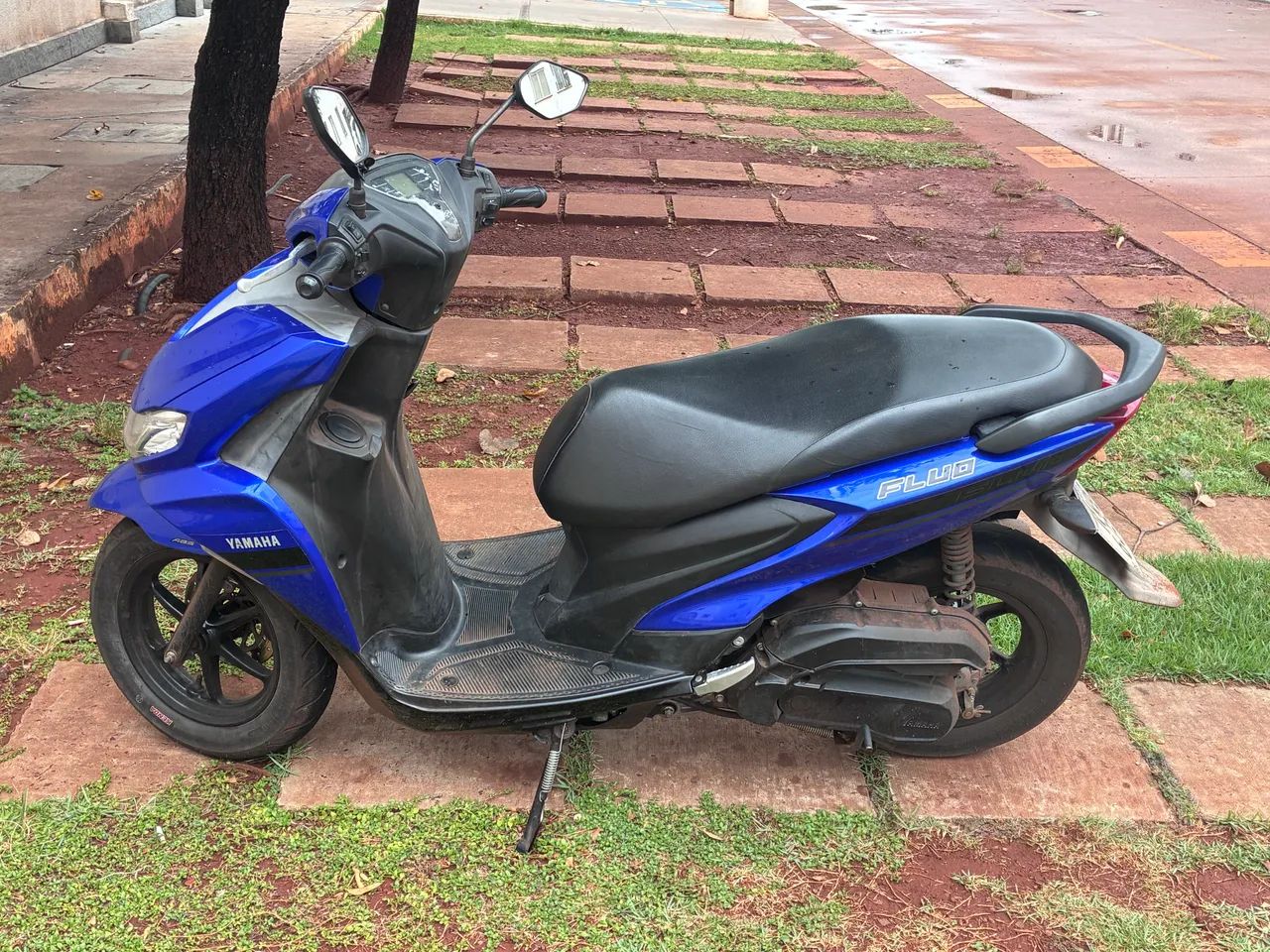 fluo 2022/2023