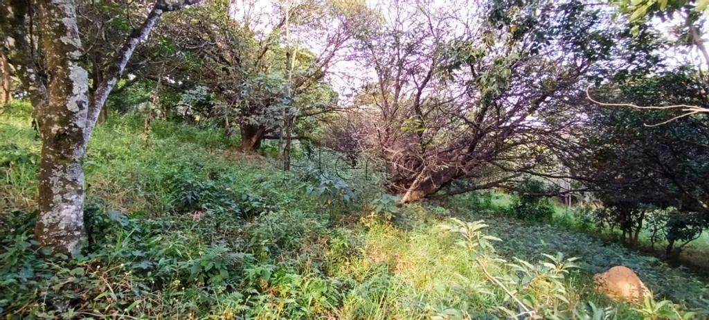 Terreno à venda em Valinhos, Chácaras São Bento, com 2000 m² - Foto 5