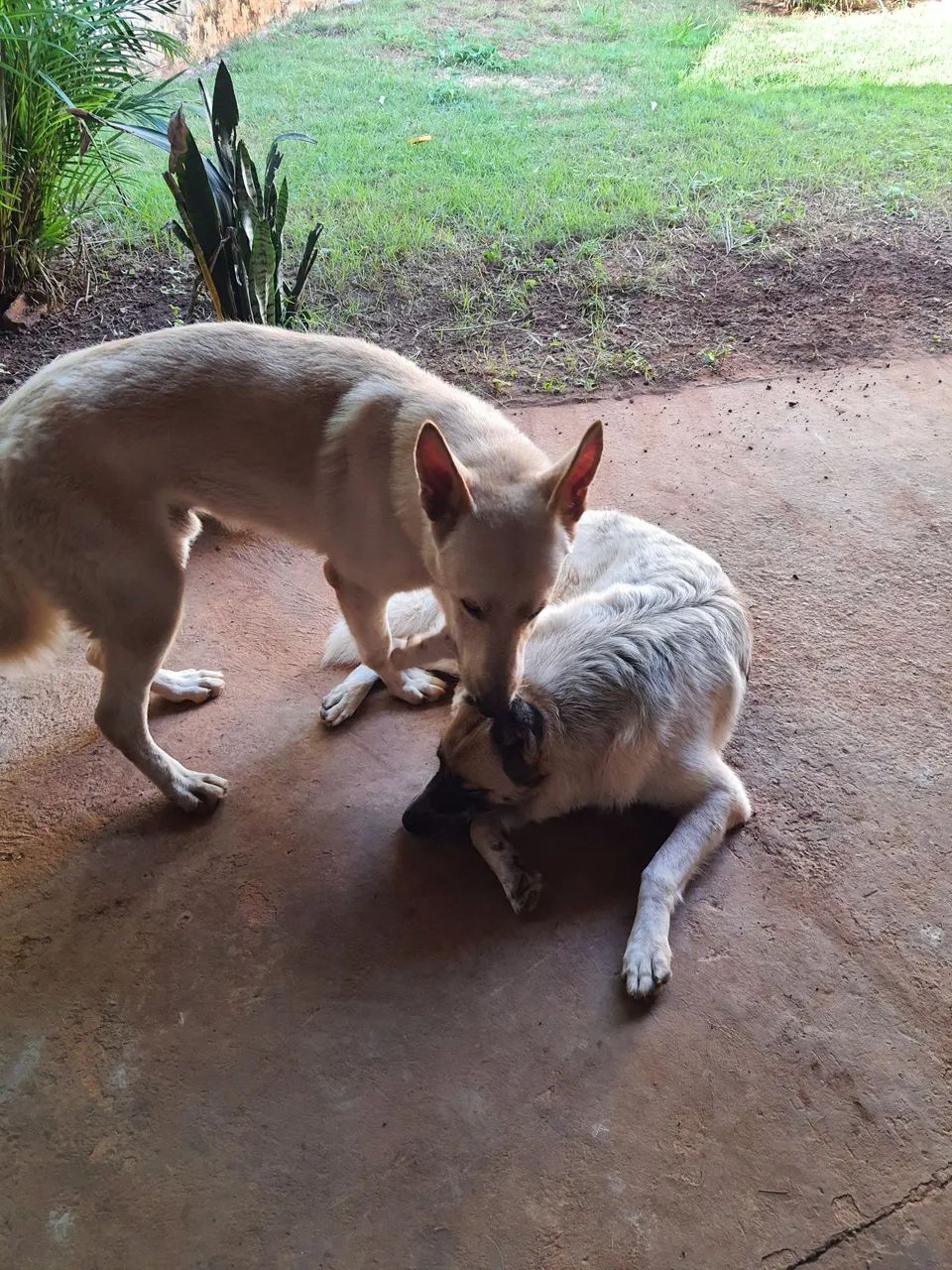 Doação consciente  - Foto 2