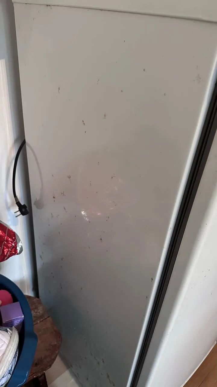 Refrigerador - Foto 2