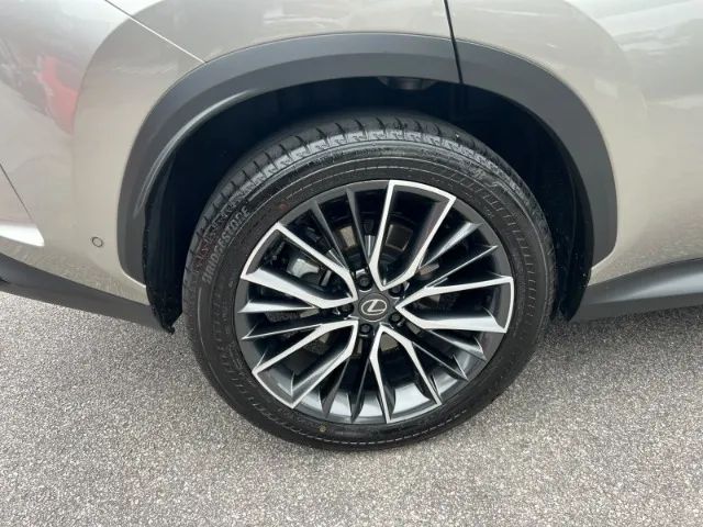 Lexus NX-450h+ AWD 2.5 16V Aut. (Híbrido), foto 7 de 15