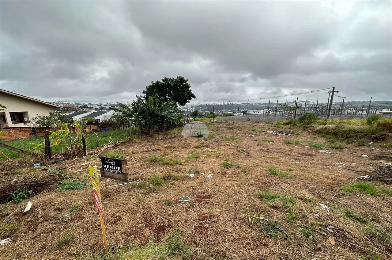 Vendas Terreno Pato Branco PR - Foto 5