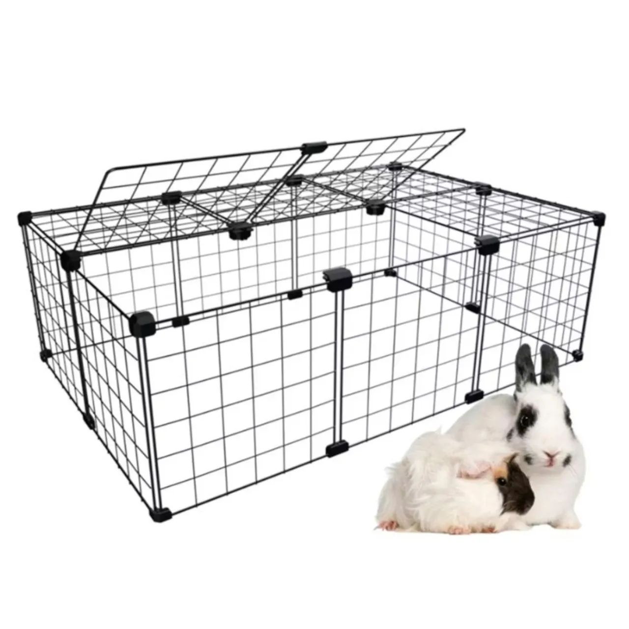 2 Porquinhas-da-Índia + Kit Completo (Prontas para novo lar) - Foto 5