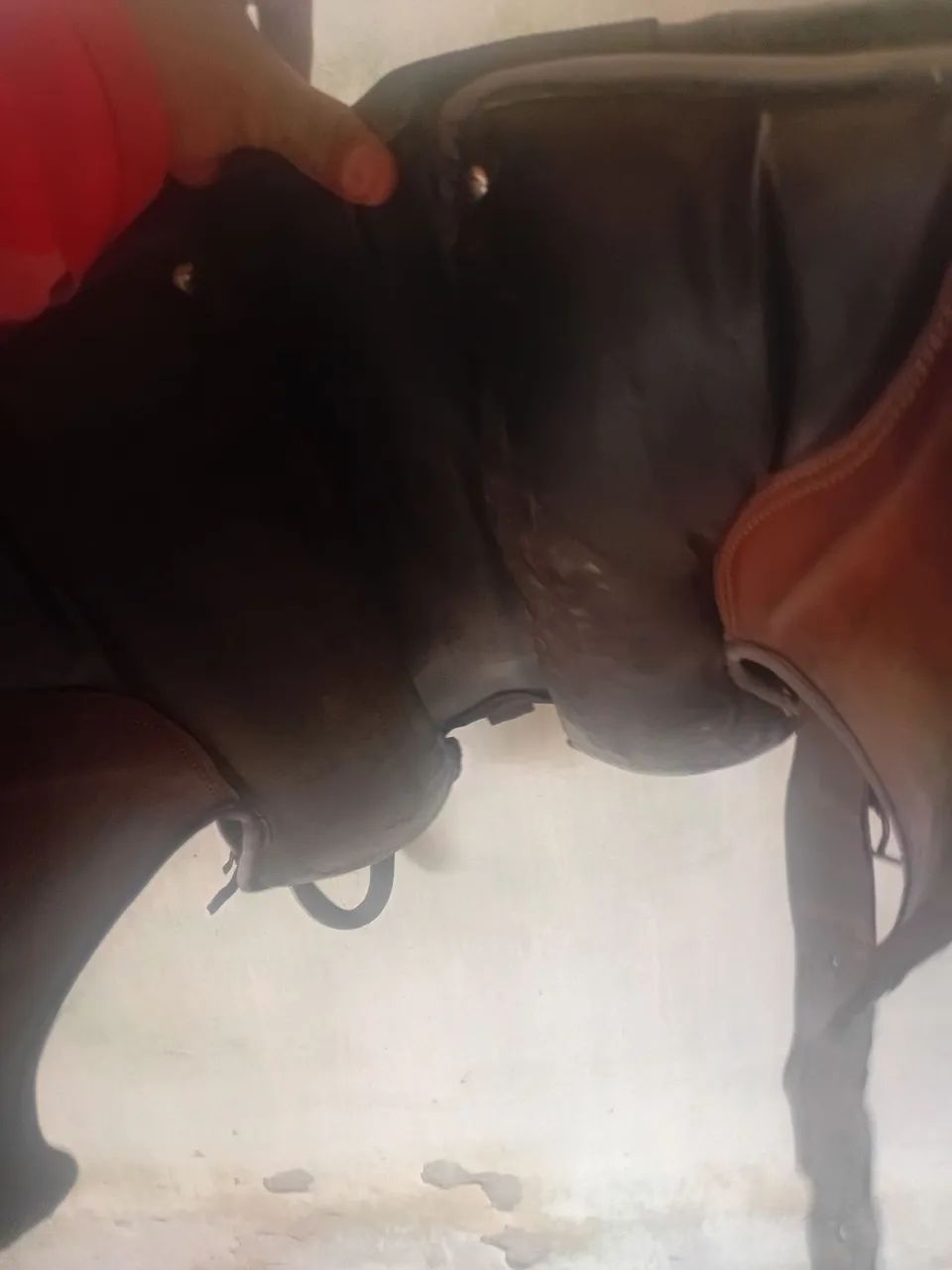 Vendo cela completa pra vender barato  - Foto 3