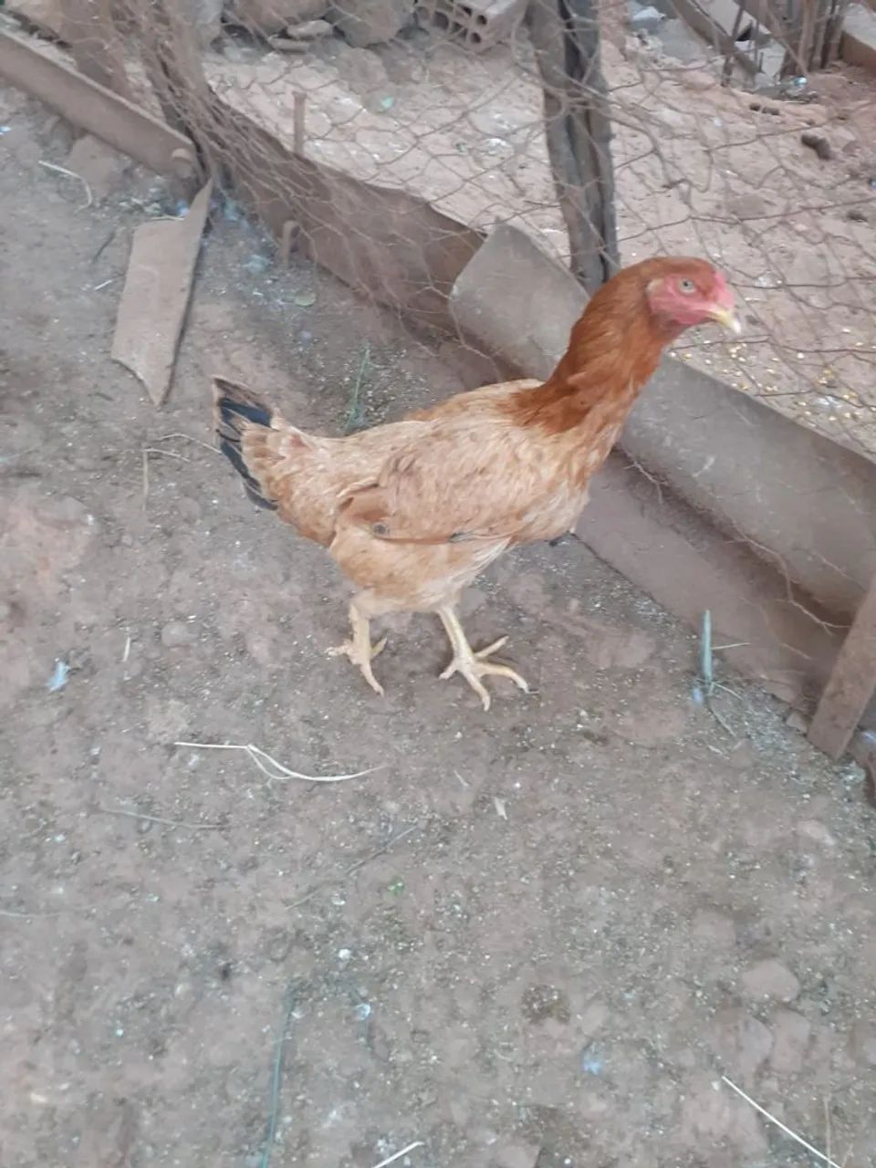 Vende - se VALOR A COMBINAR - Foto 2